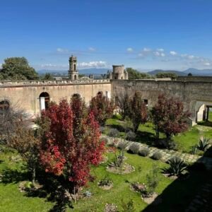 Cantona: Expedición de Autor y Retiro en Hacienda