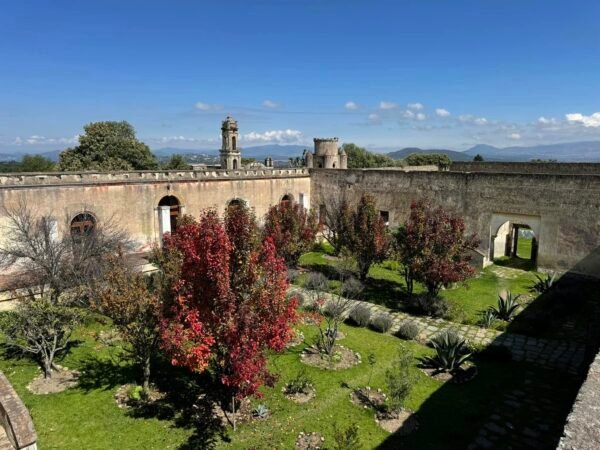 Cantona: Expedición de Autor y Retiro en Hacienda