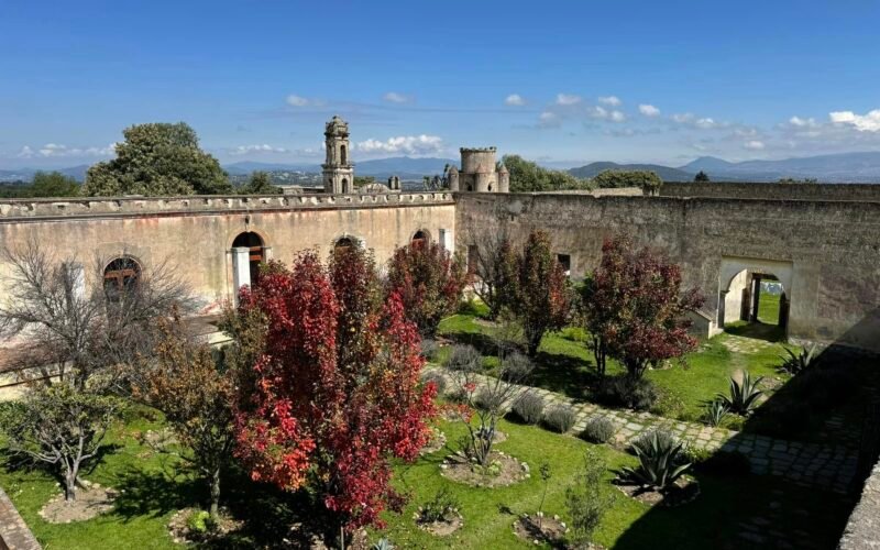 Cantona: Expedición de Autor y Retiro en Hacienda